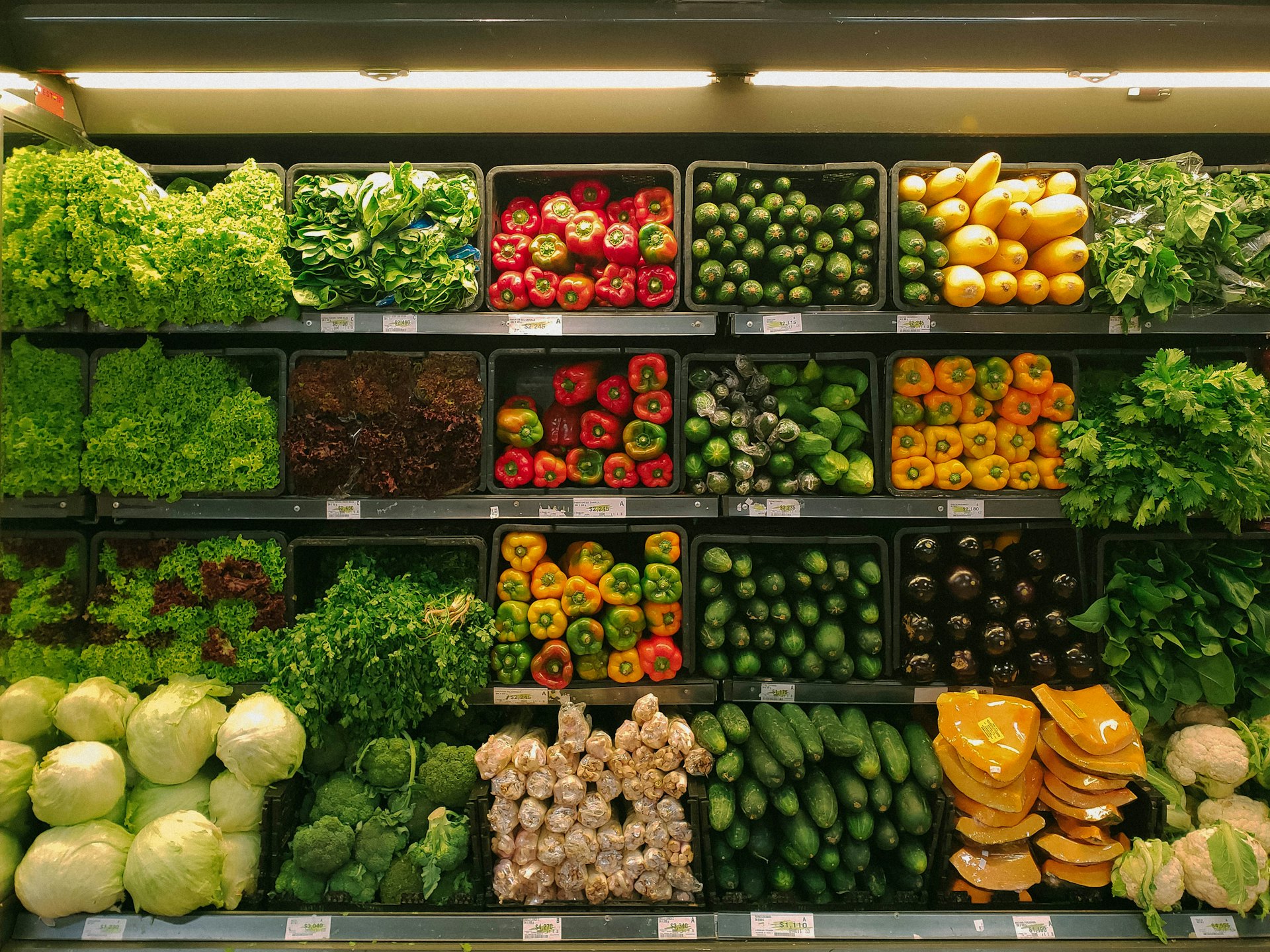 Brightly stocked shelves representing fast-moving consumer goods distribution.