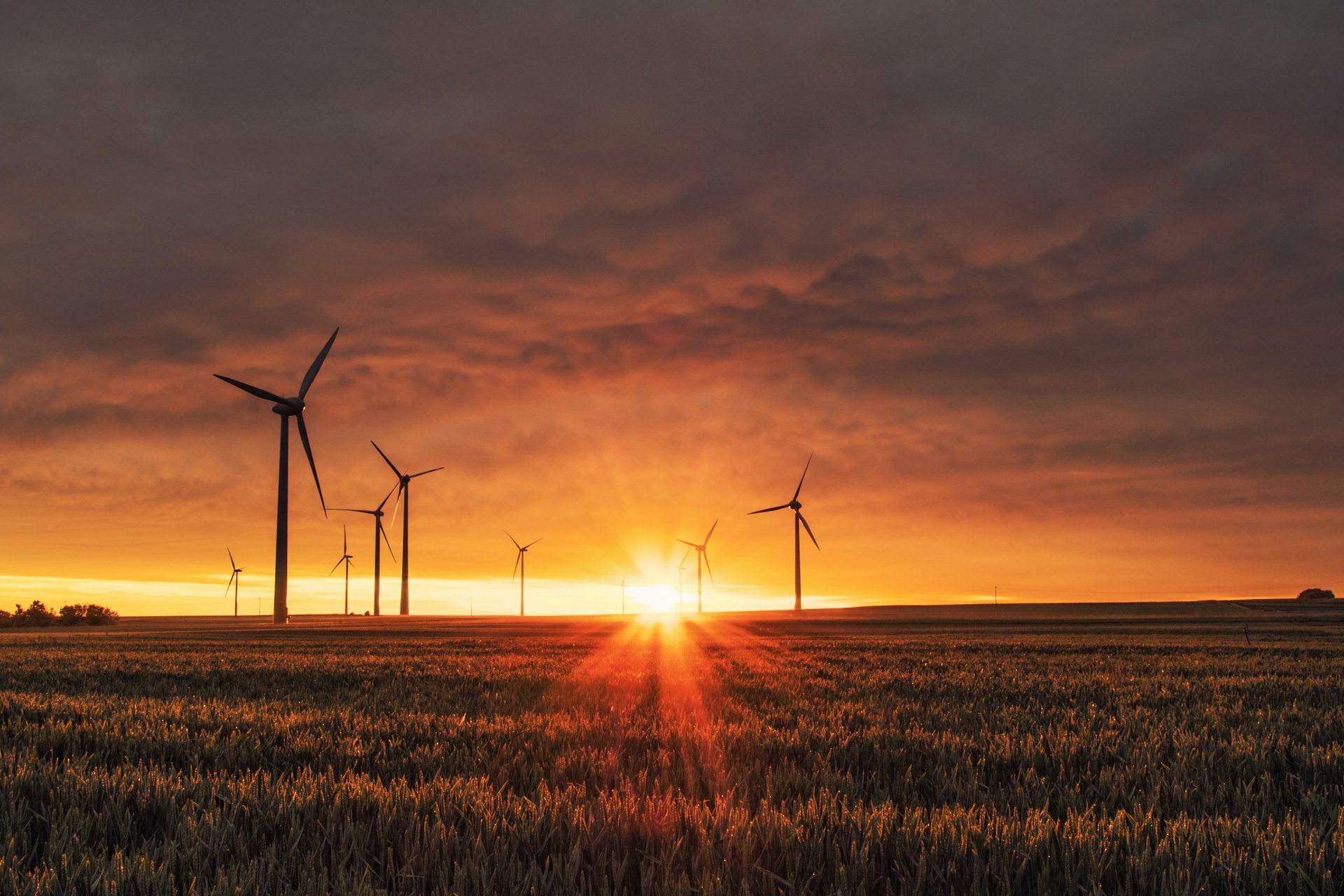 Wind turbines silhouetted against a low sun across open land.